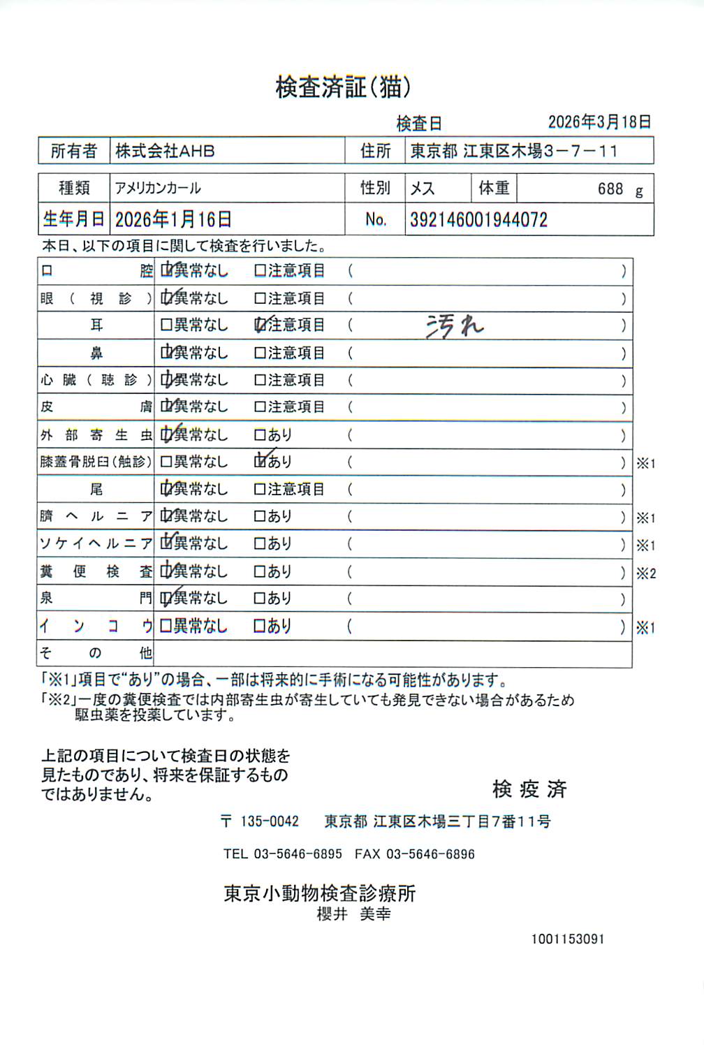 アメリカンカール