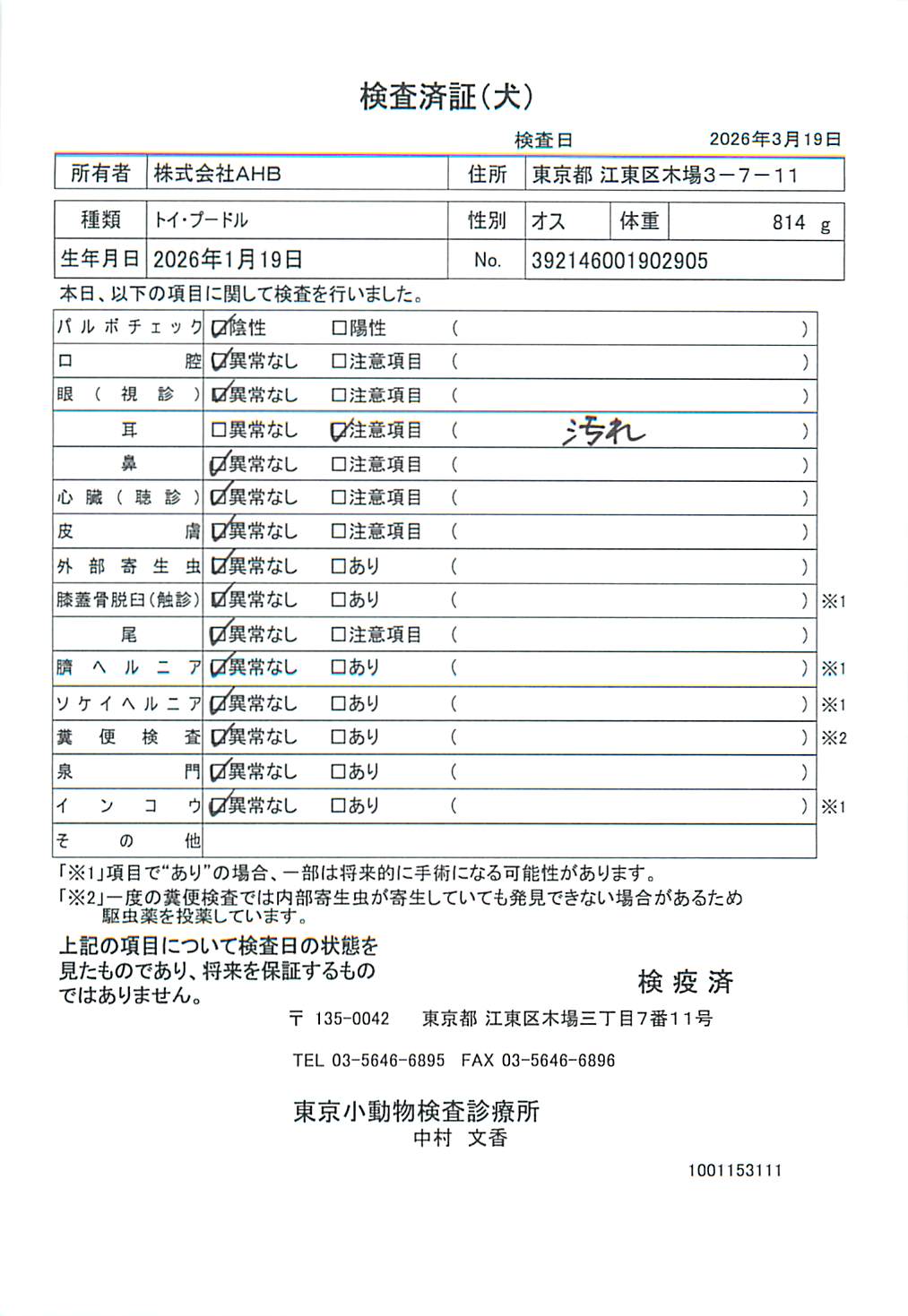 トイ・プードル