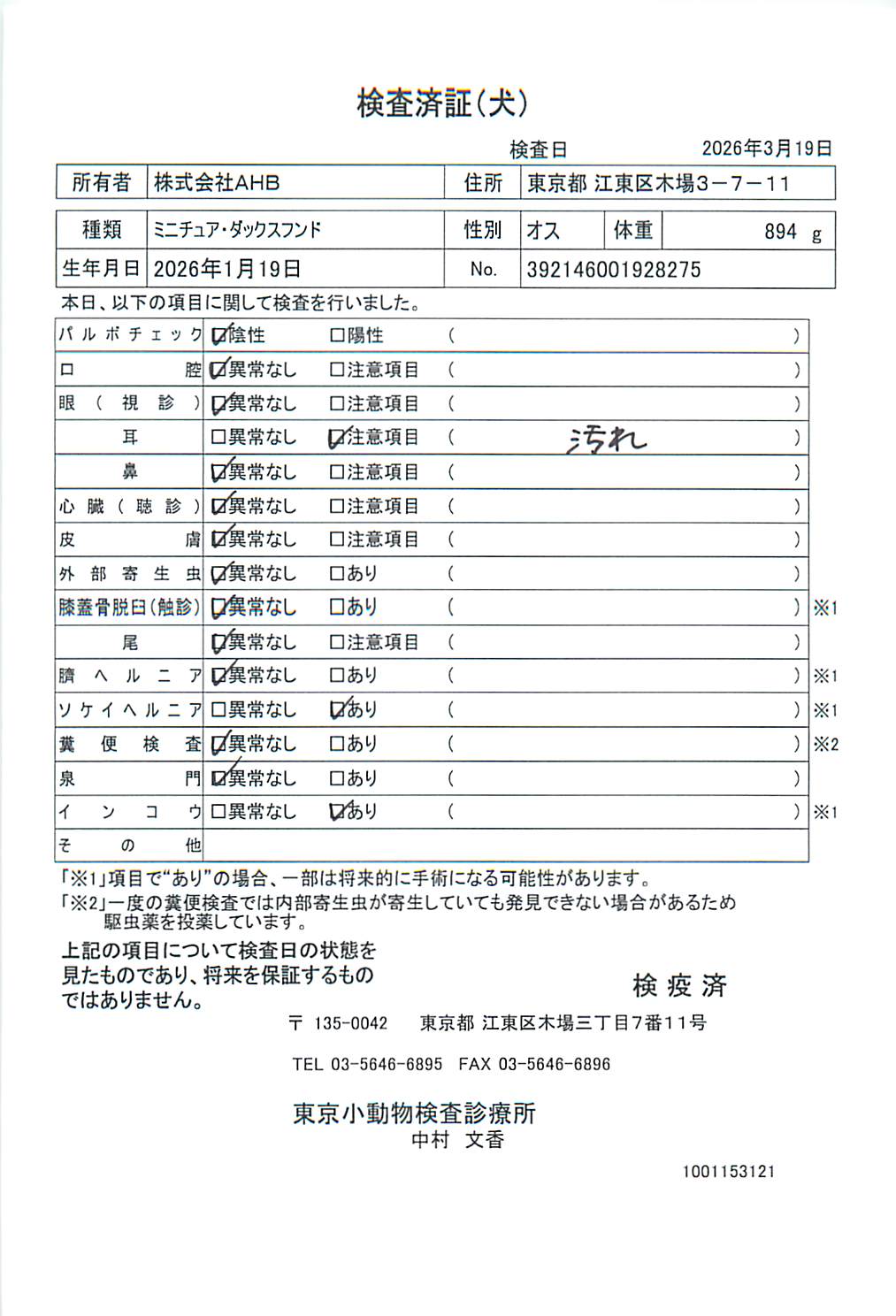 ミニチュア・ダックスフンド