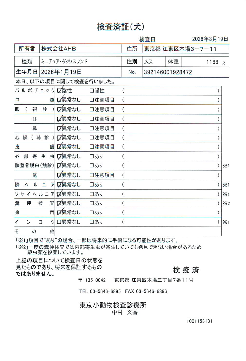 ミニチュア・ダックスフンド