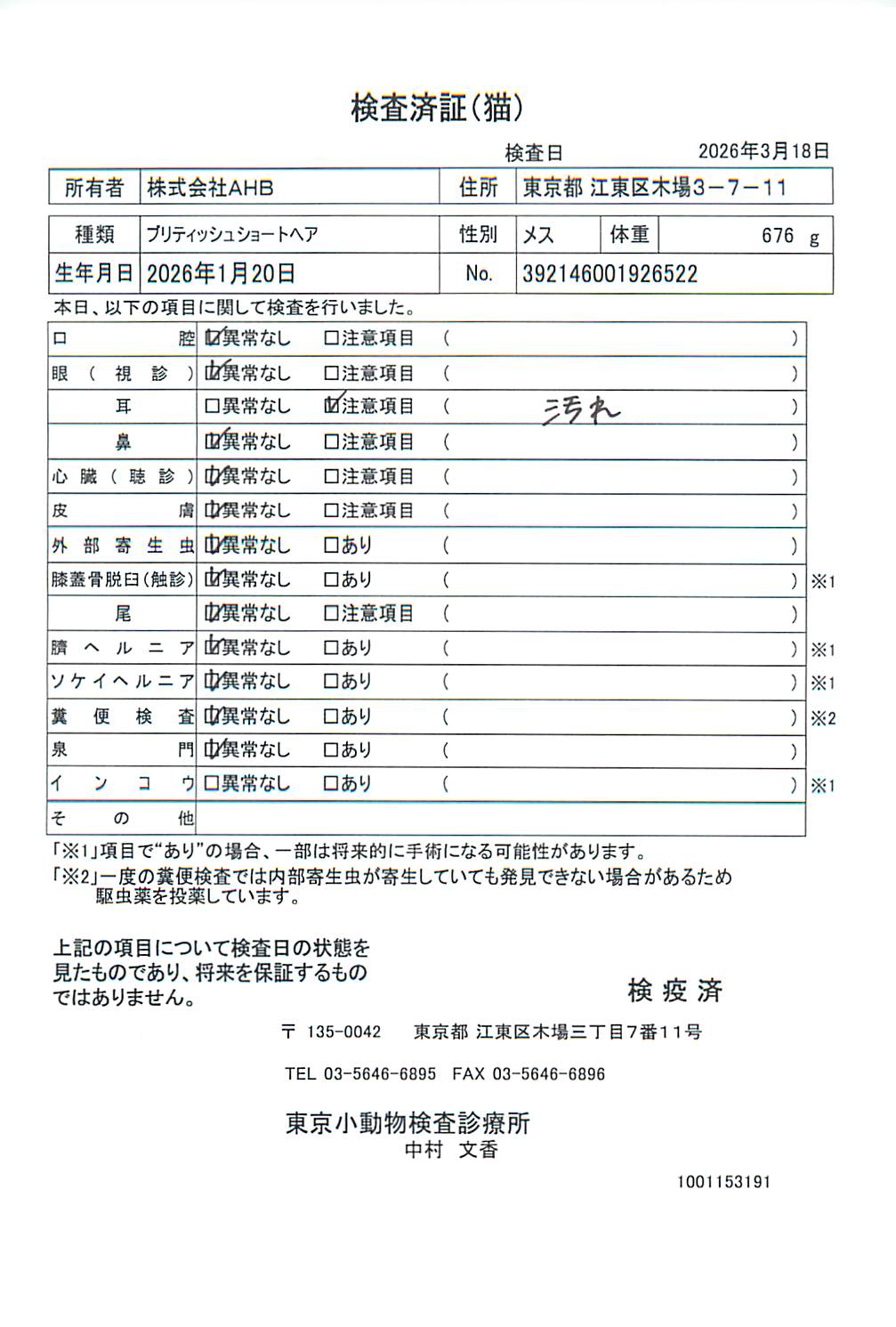 ブリティッシュショートヘア