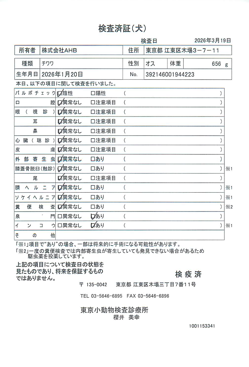 チワワ