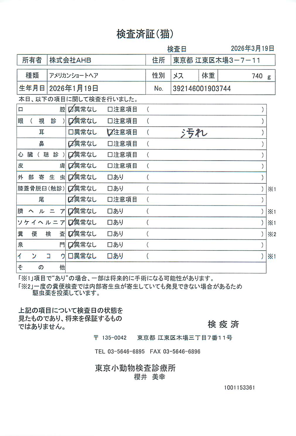 アメリカンショートヘア