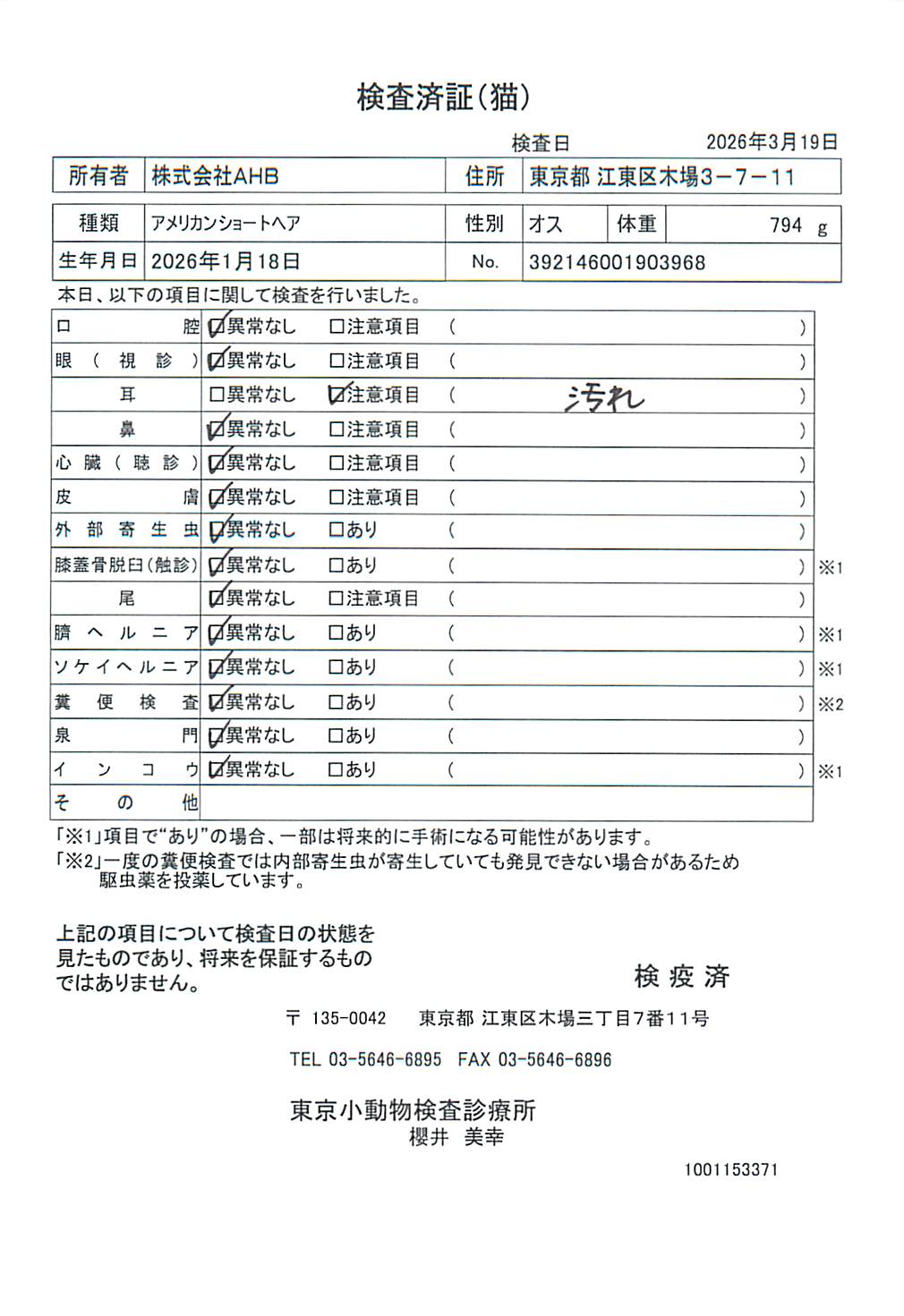 アメリカンショートヘア