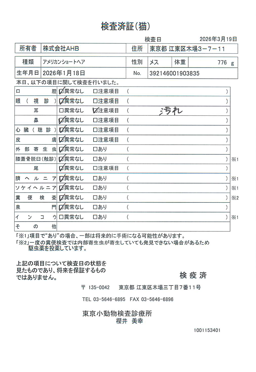アメリカンショートヘア