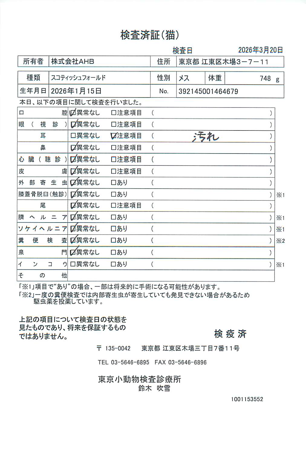 スコティッシュフォールド