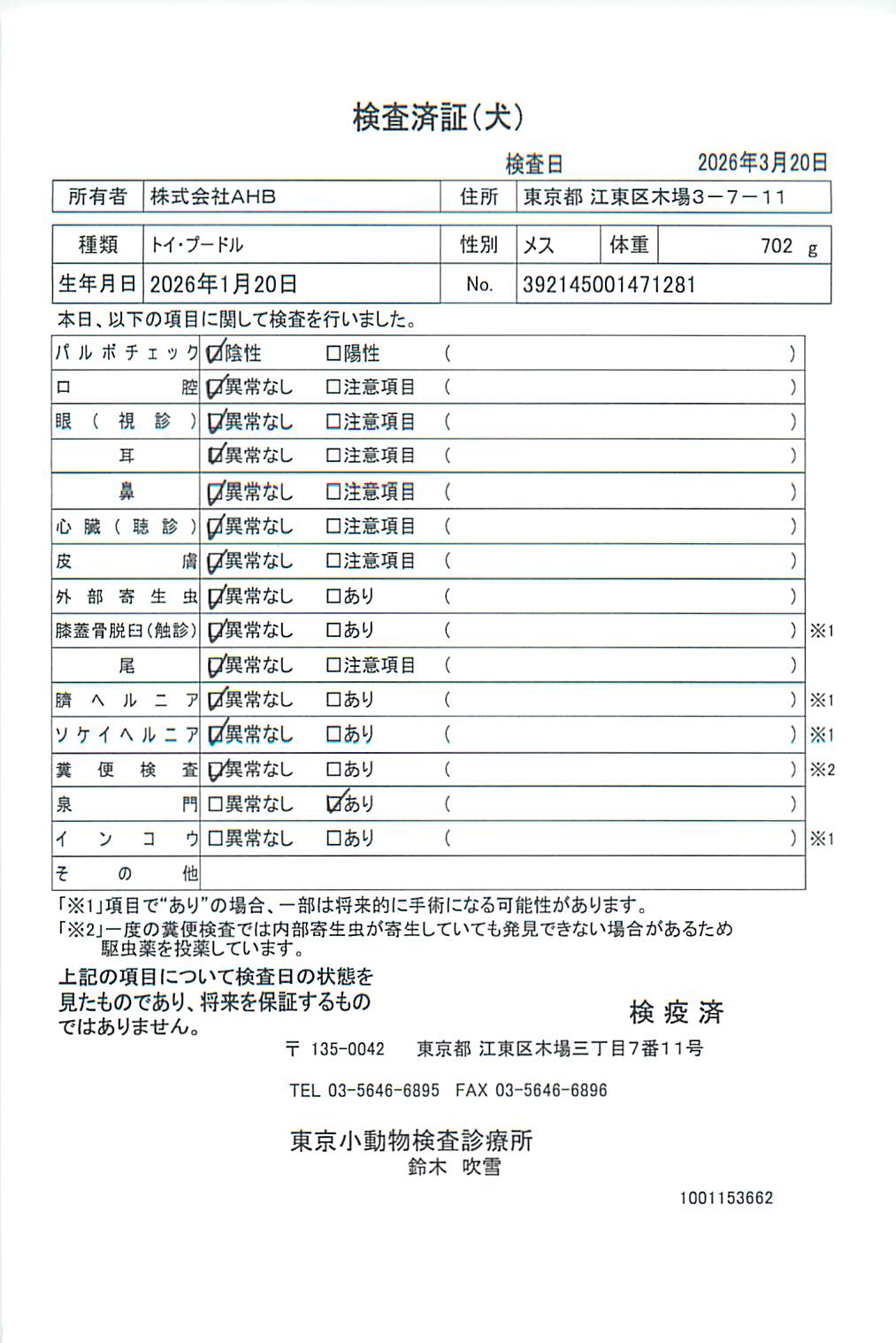 トイ・プードル