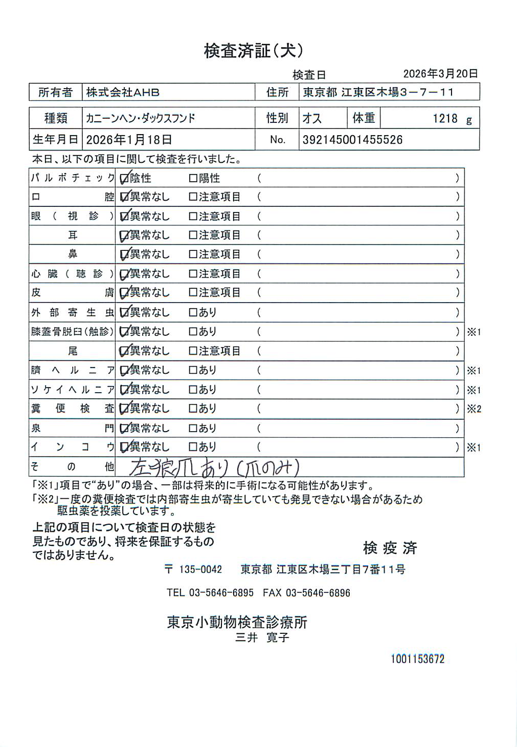 カニーンヘン・ダックスフンド