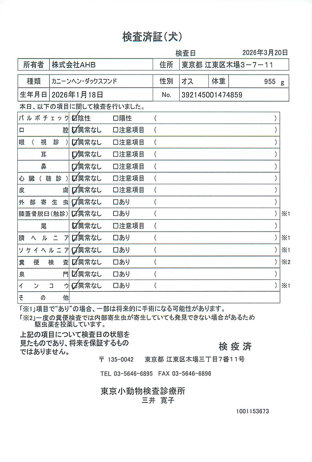 カニーンヘン・ダックスフンド