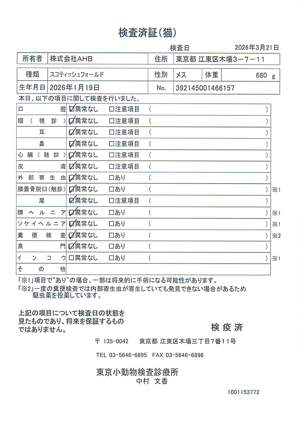 スコティッシュフォールド