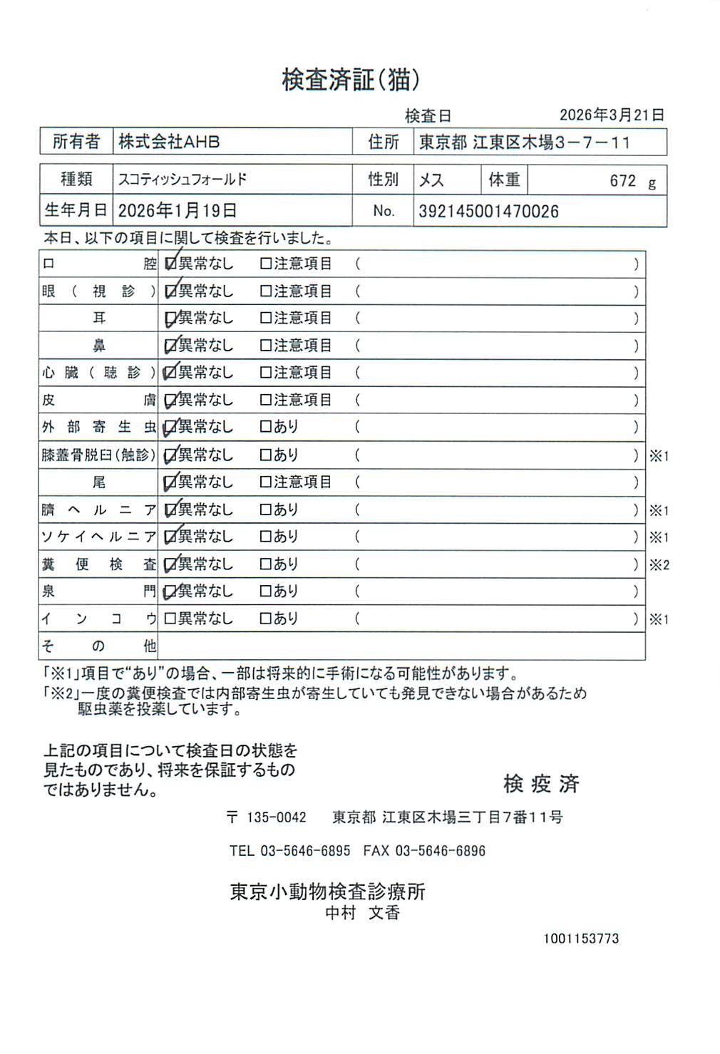 スコティッシュフォールド