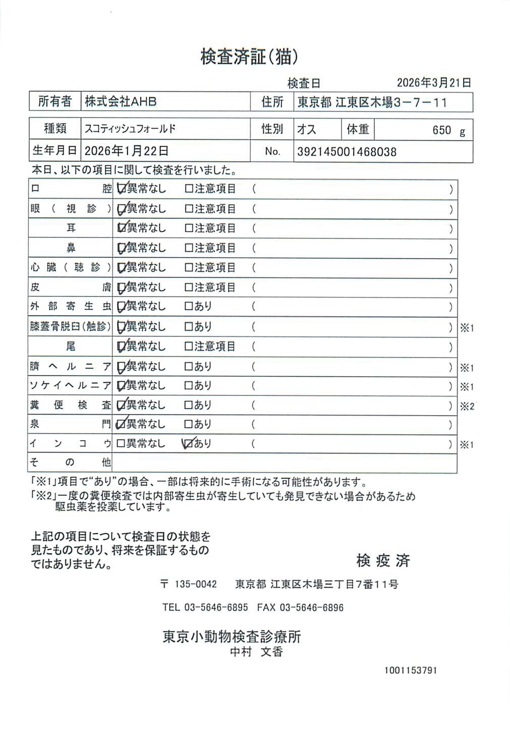 スコティッシュフォールド