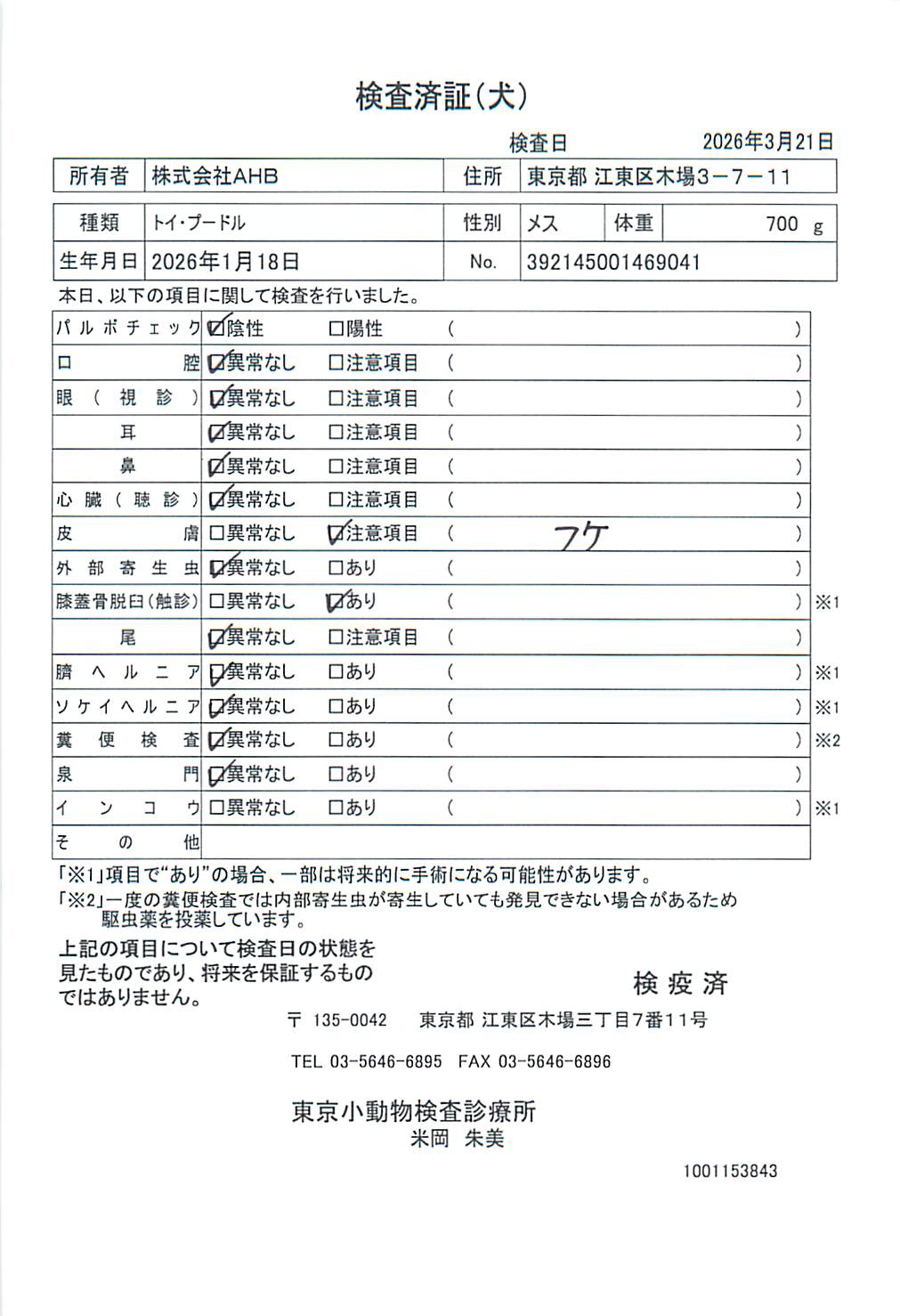 トイ・プードル