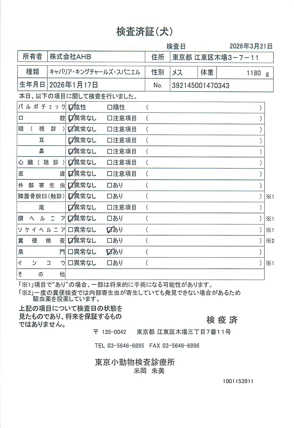 キャバリア・キングチャールズ・スパニエル
