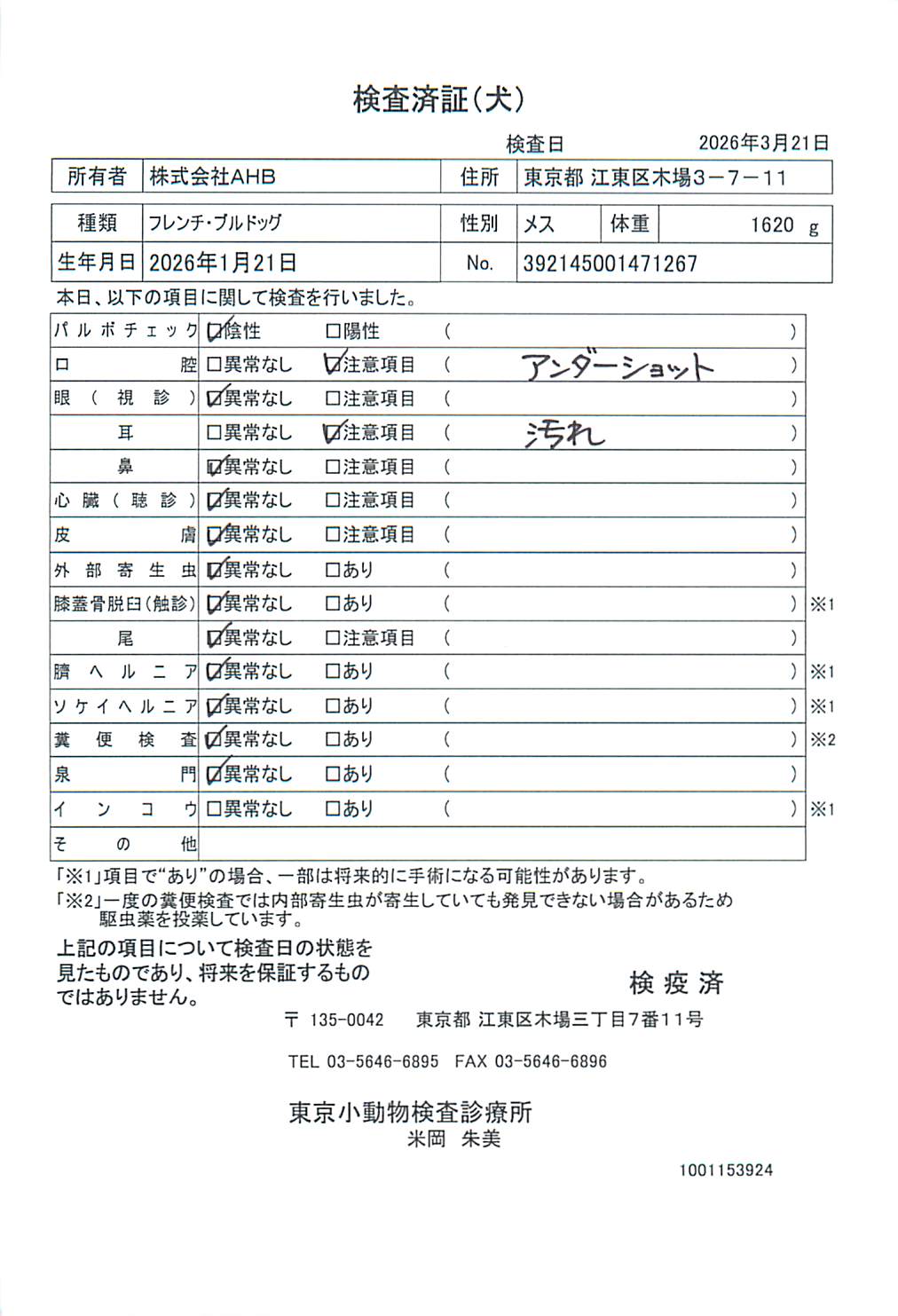 フレンチ・ブルドッグ