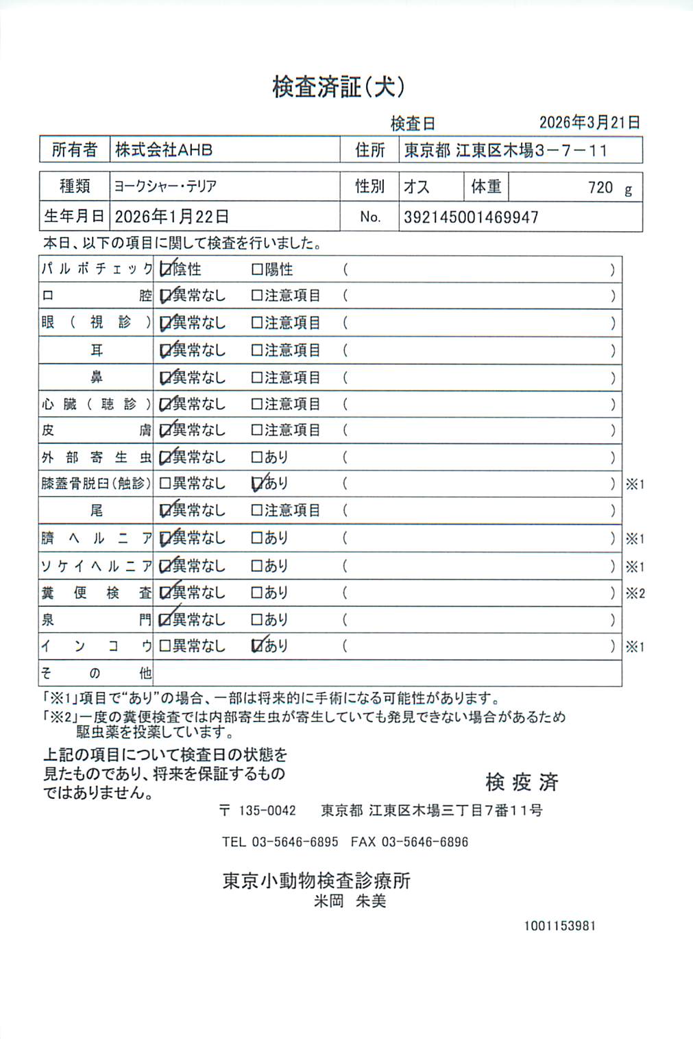 ヨークシャー・テリア