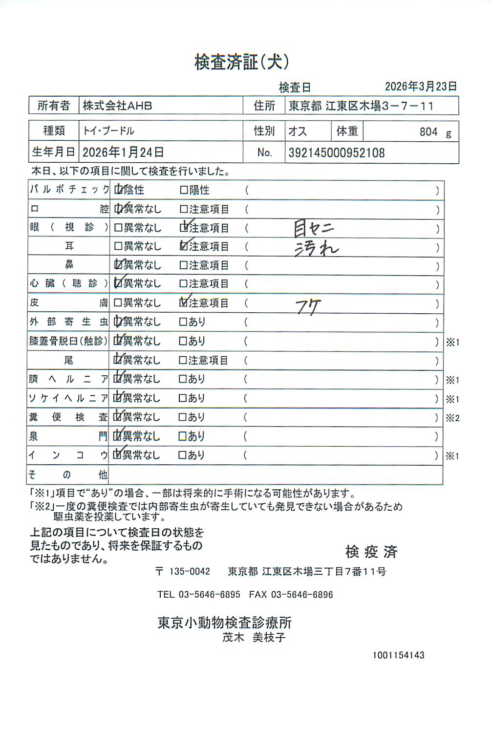 トイ・プードル