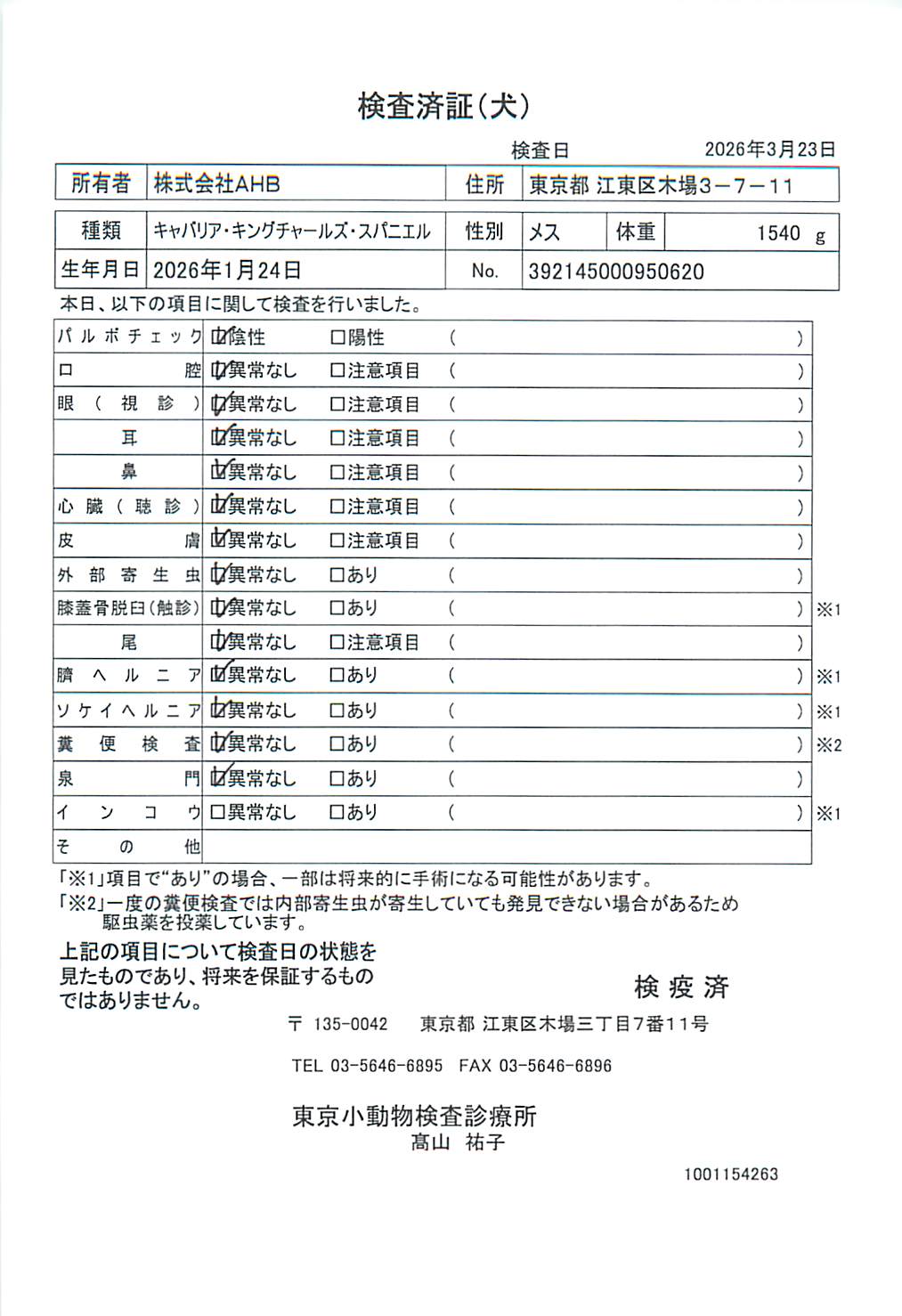 キャバリア・キングチャールズ・スパニエル