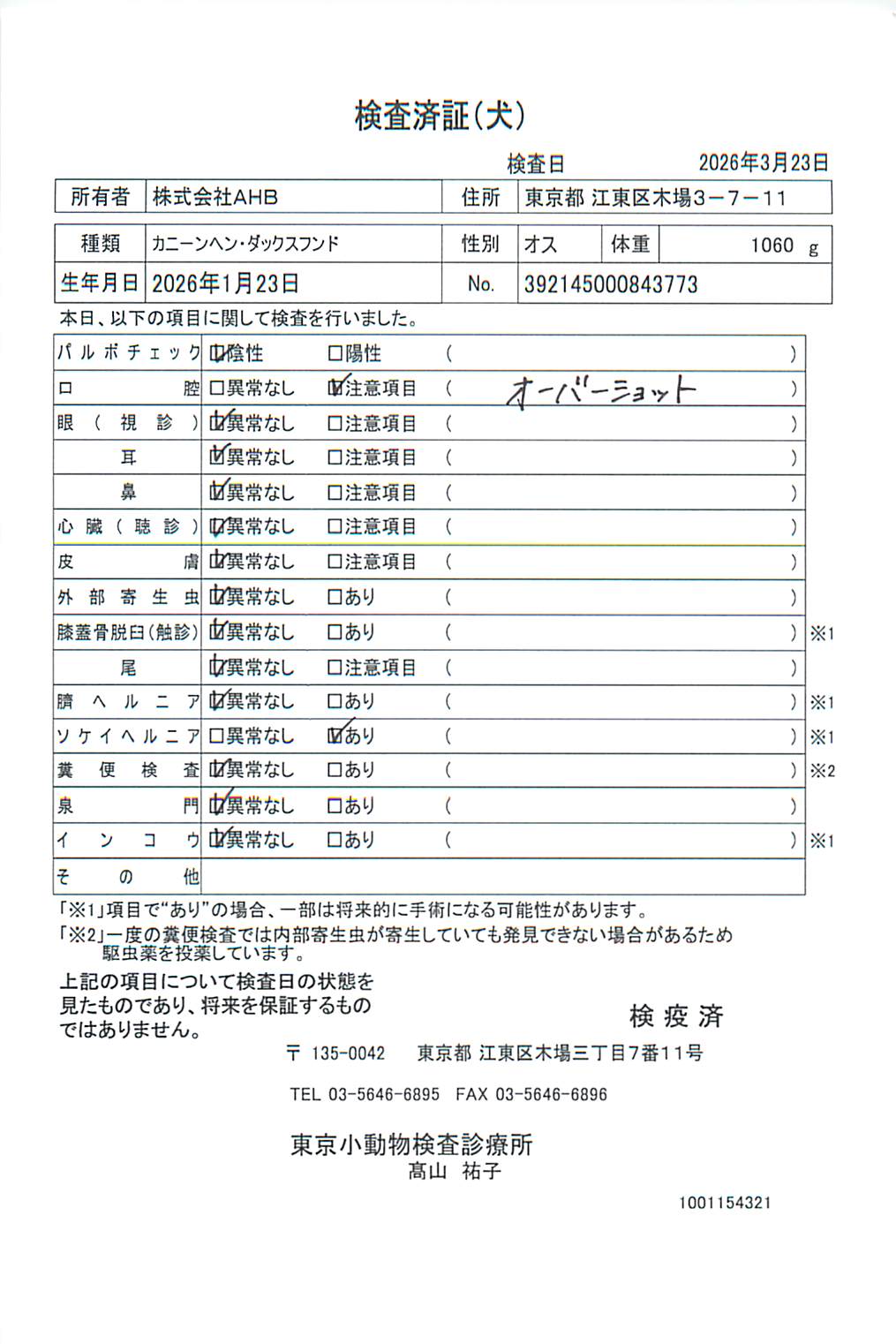 カニーンヘン・ダックスフンド
