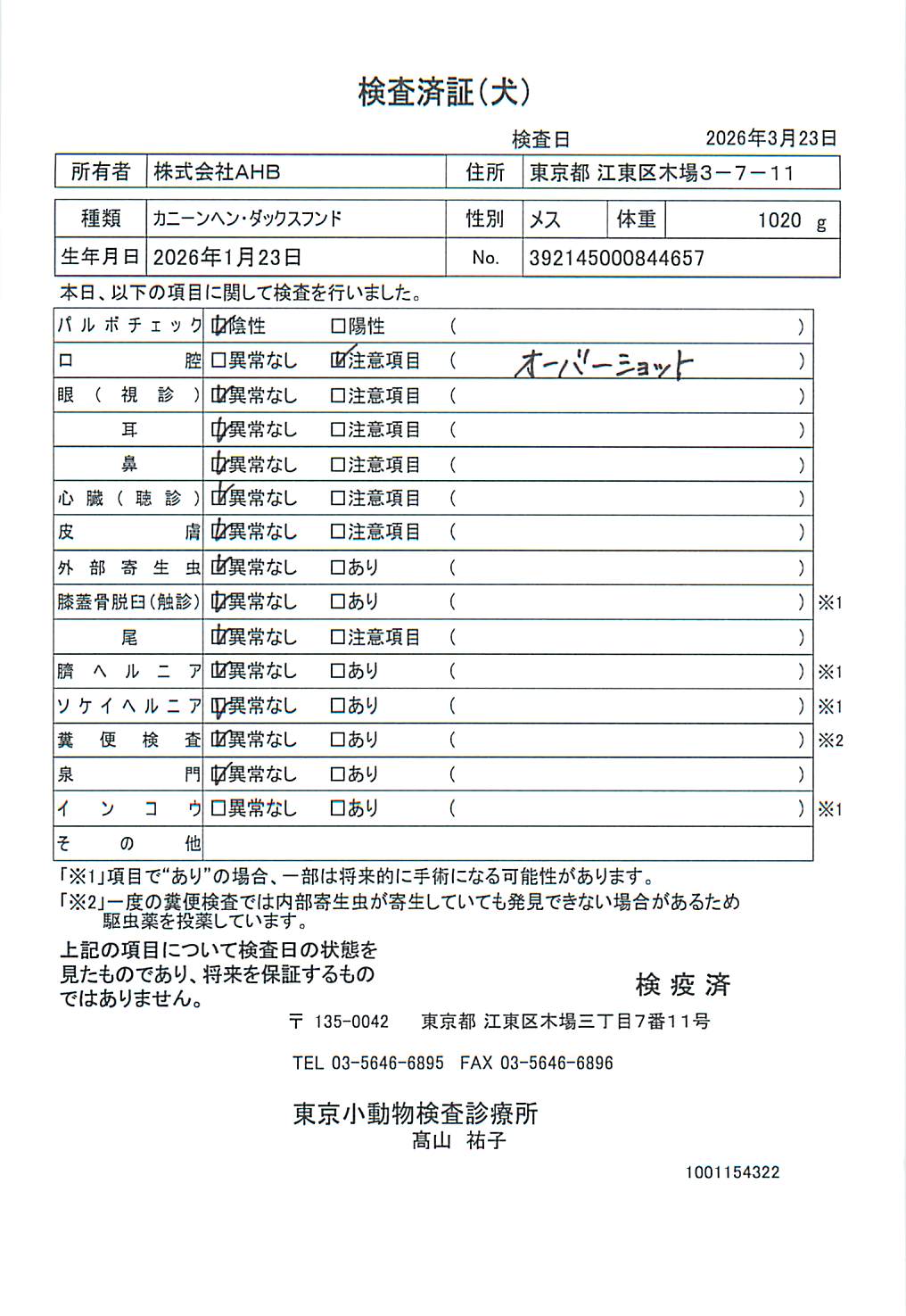 カニーンヘン・ダックスフンド
