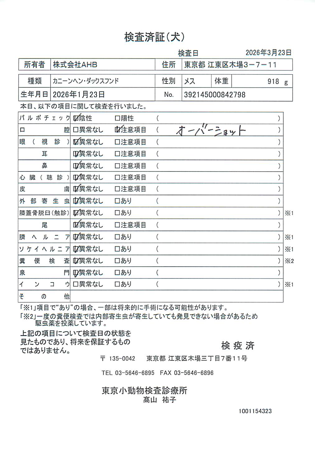 カニーンヘン・ダックスフンド