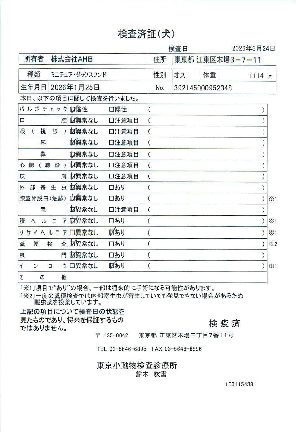 ミニチュア・ダックスフンド