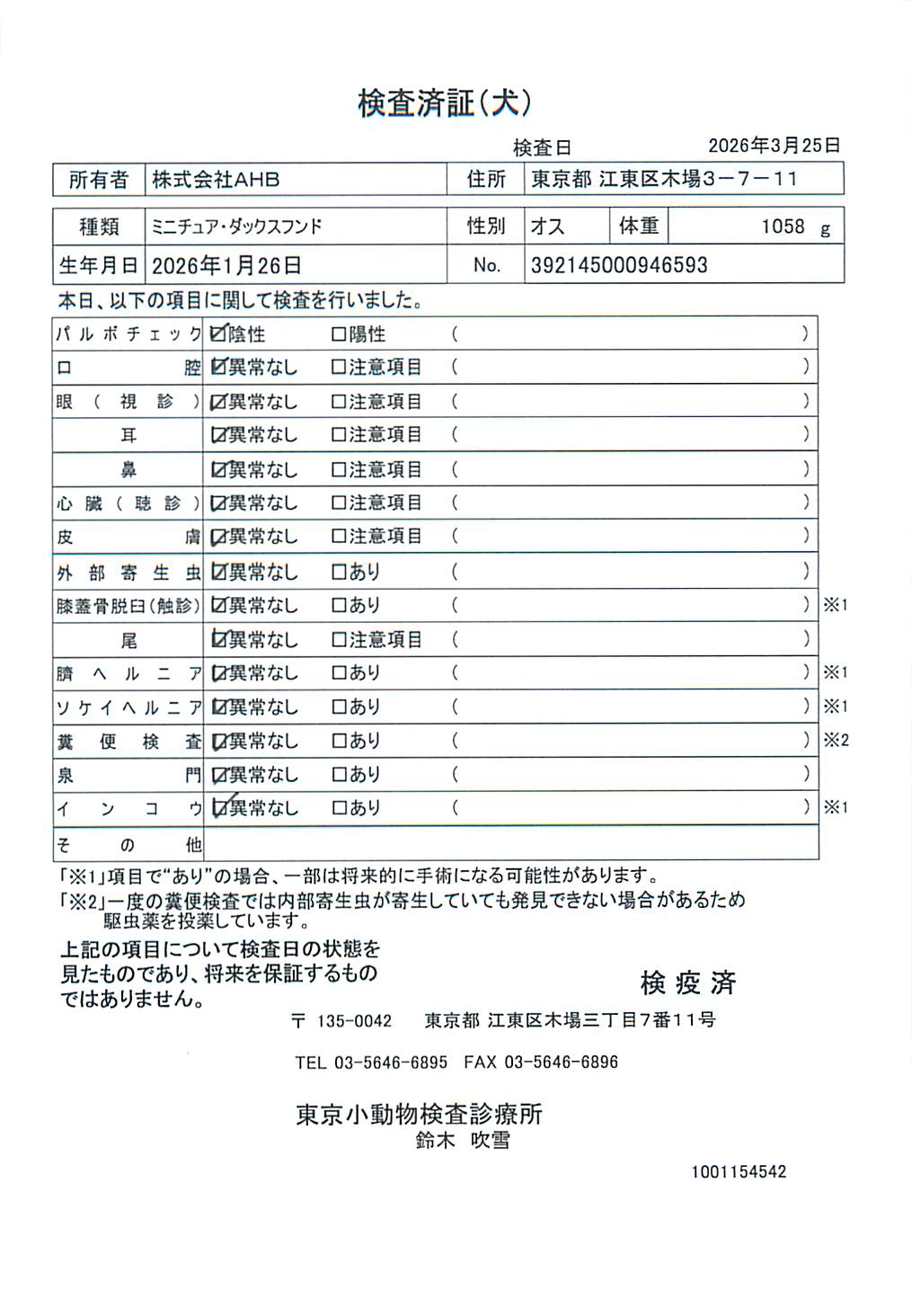ミニチュア・ダックスフンド
