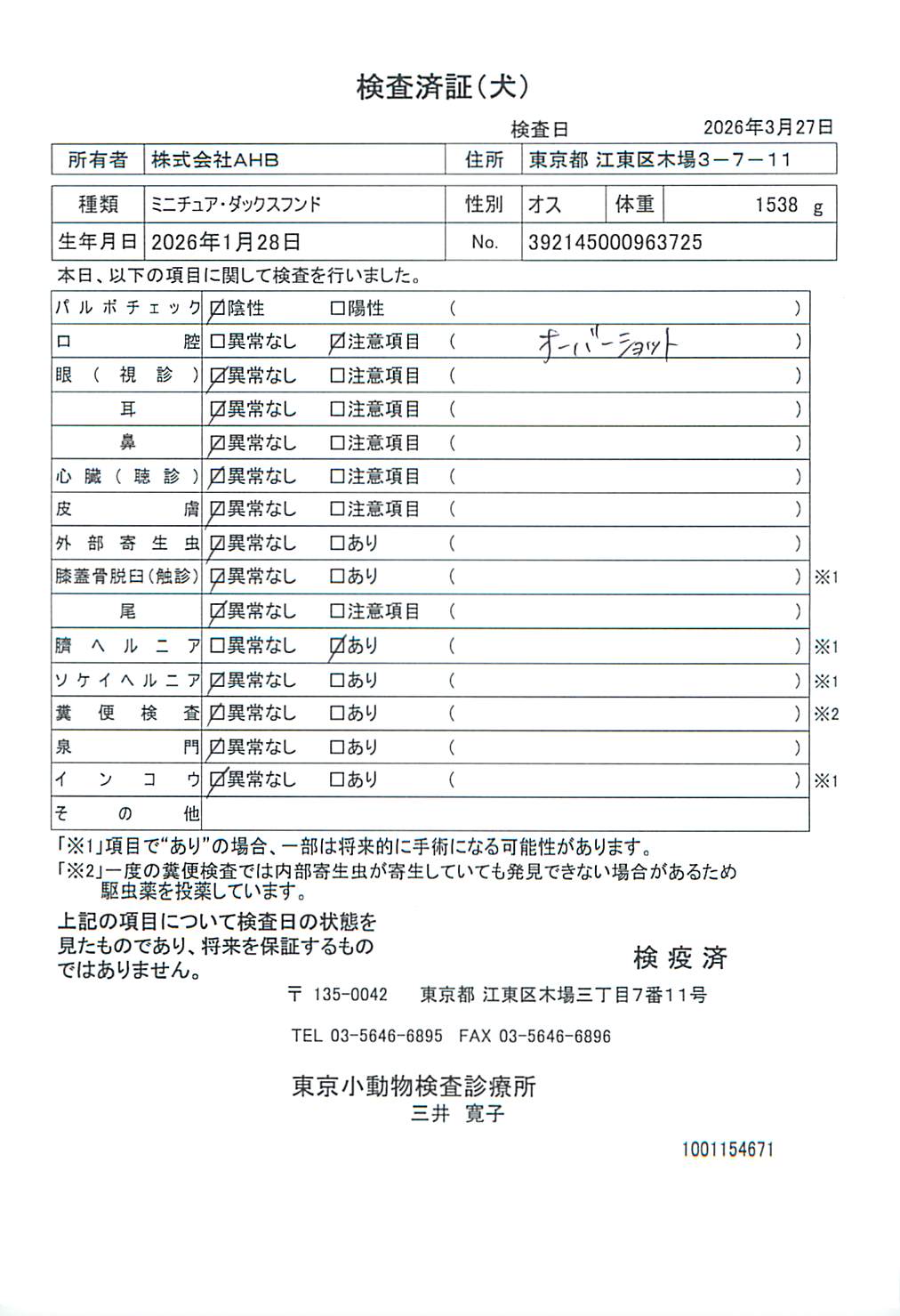 ミニチュア・ダックスフンド