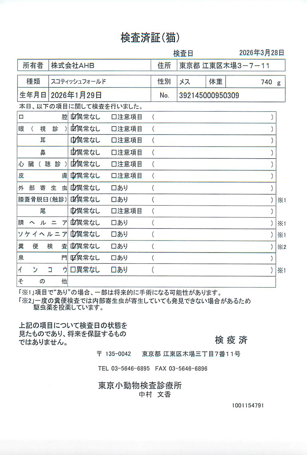 スコティッシュフォールド