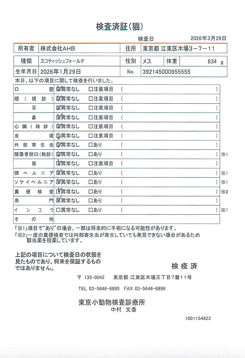 スコティッシュフォールド