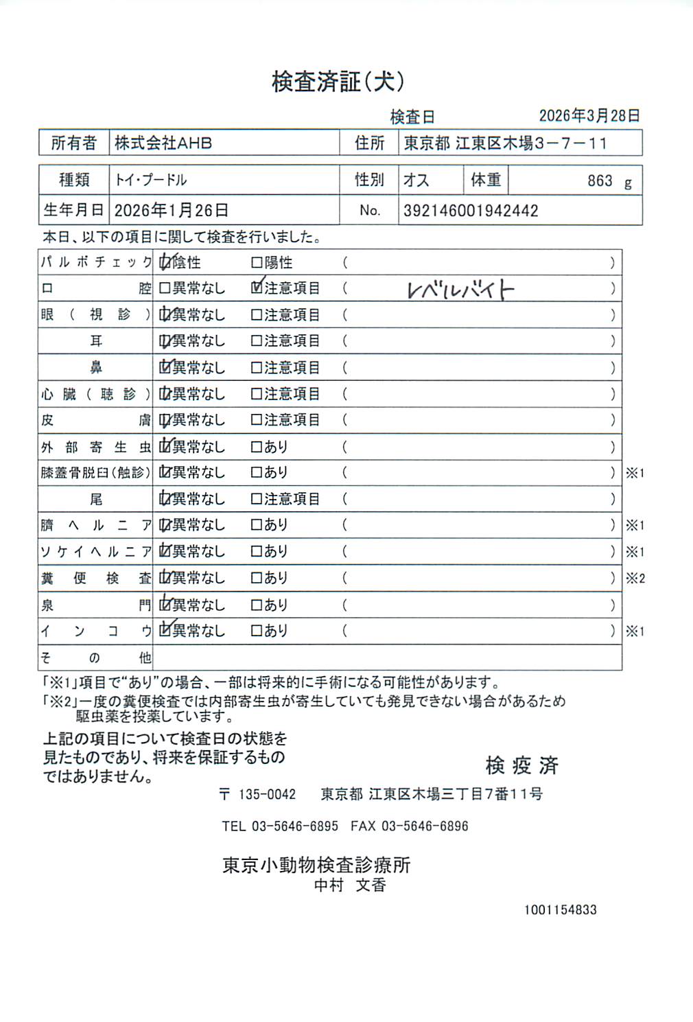 トイ・プードル