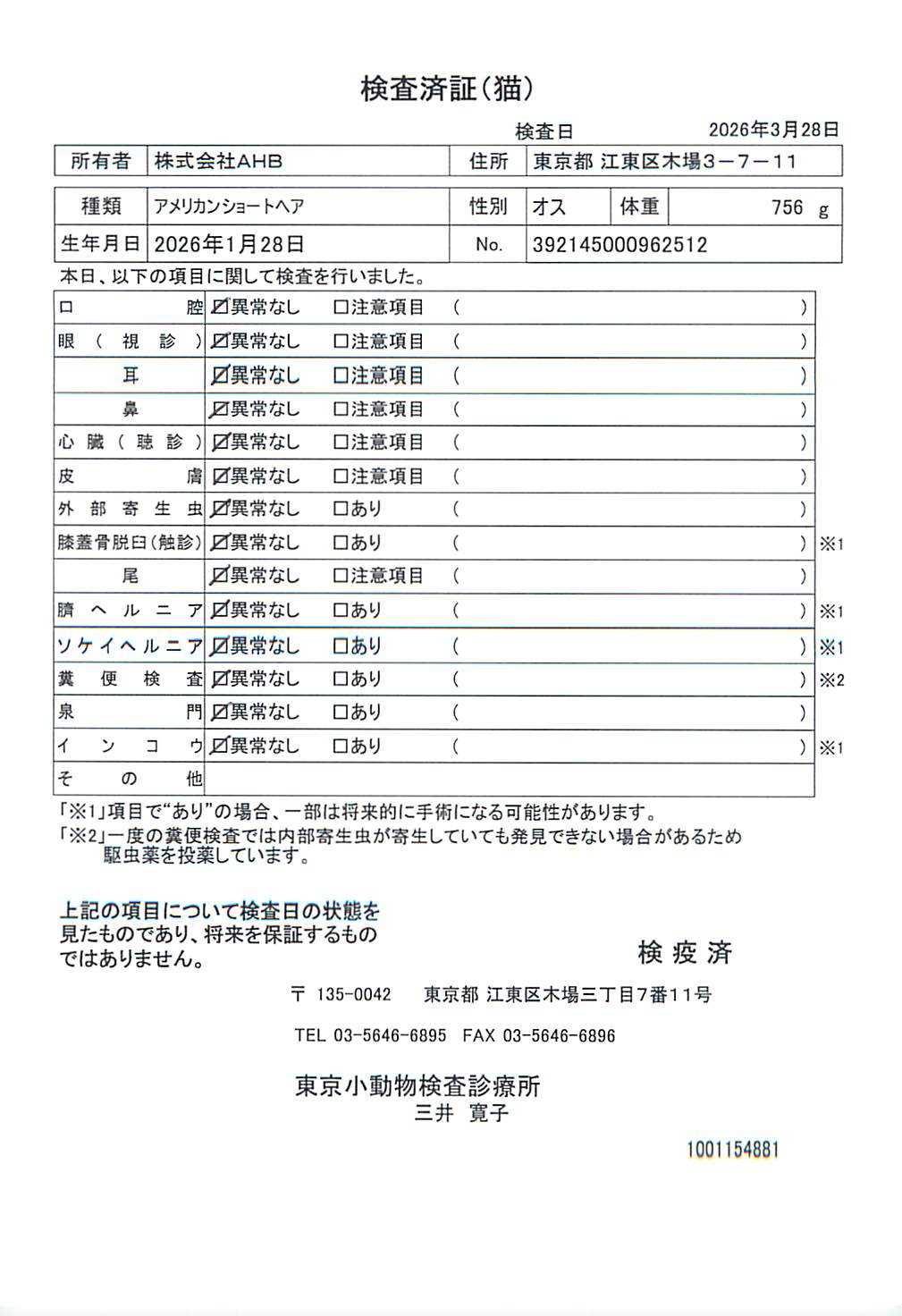 アメリカンショートヘア