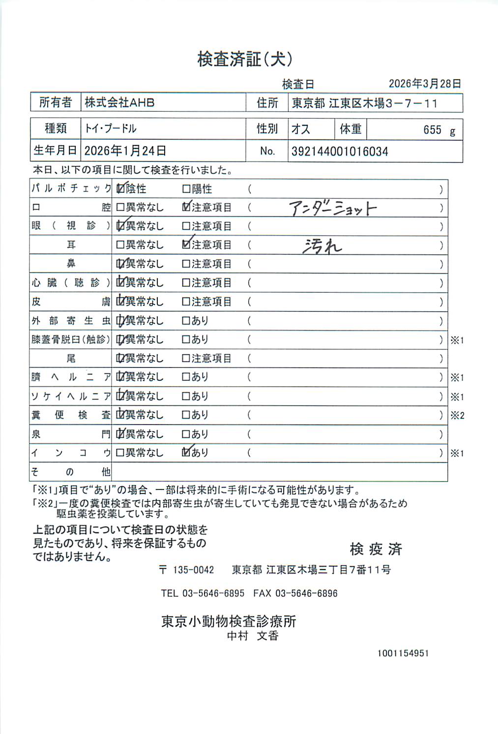 トイ・プードル