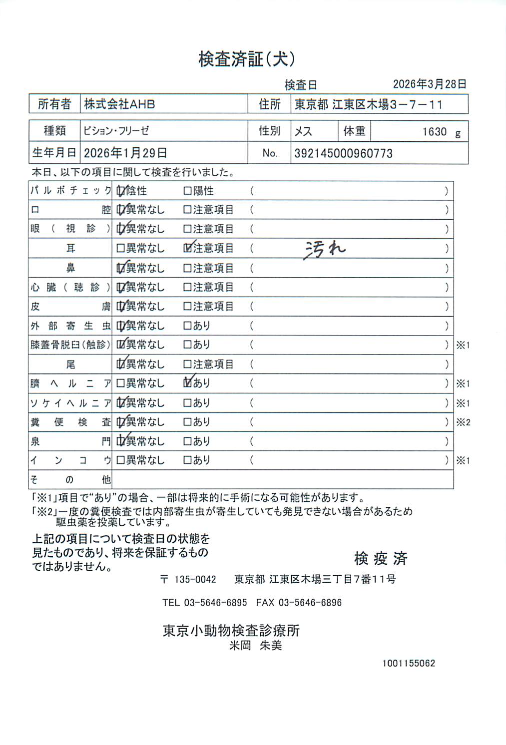 ビション・フリーゼ