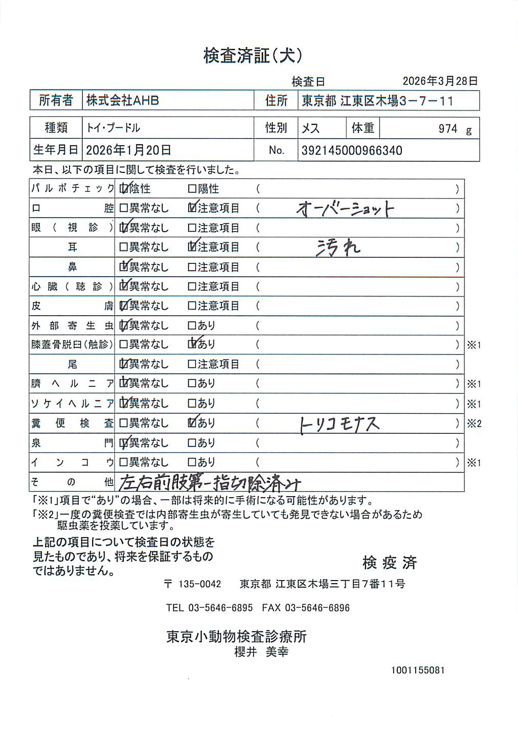 トイ・プードル