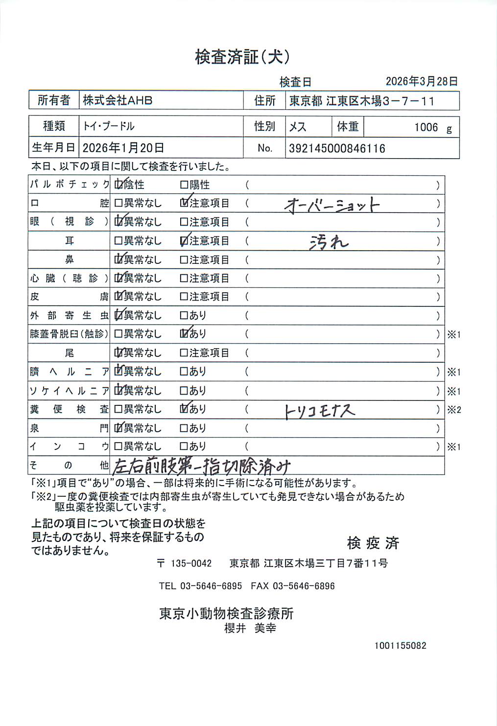 トイ・プードル