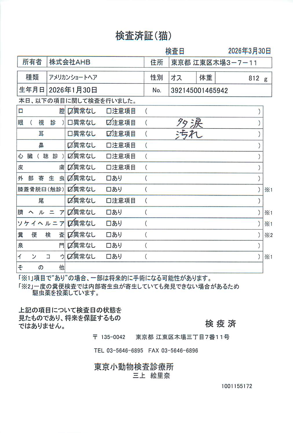 アメリカンショートヘア