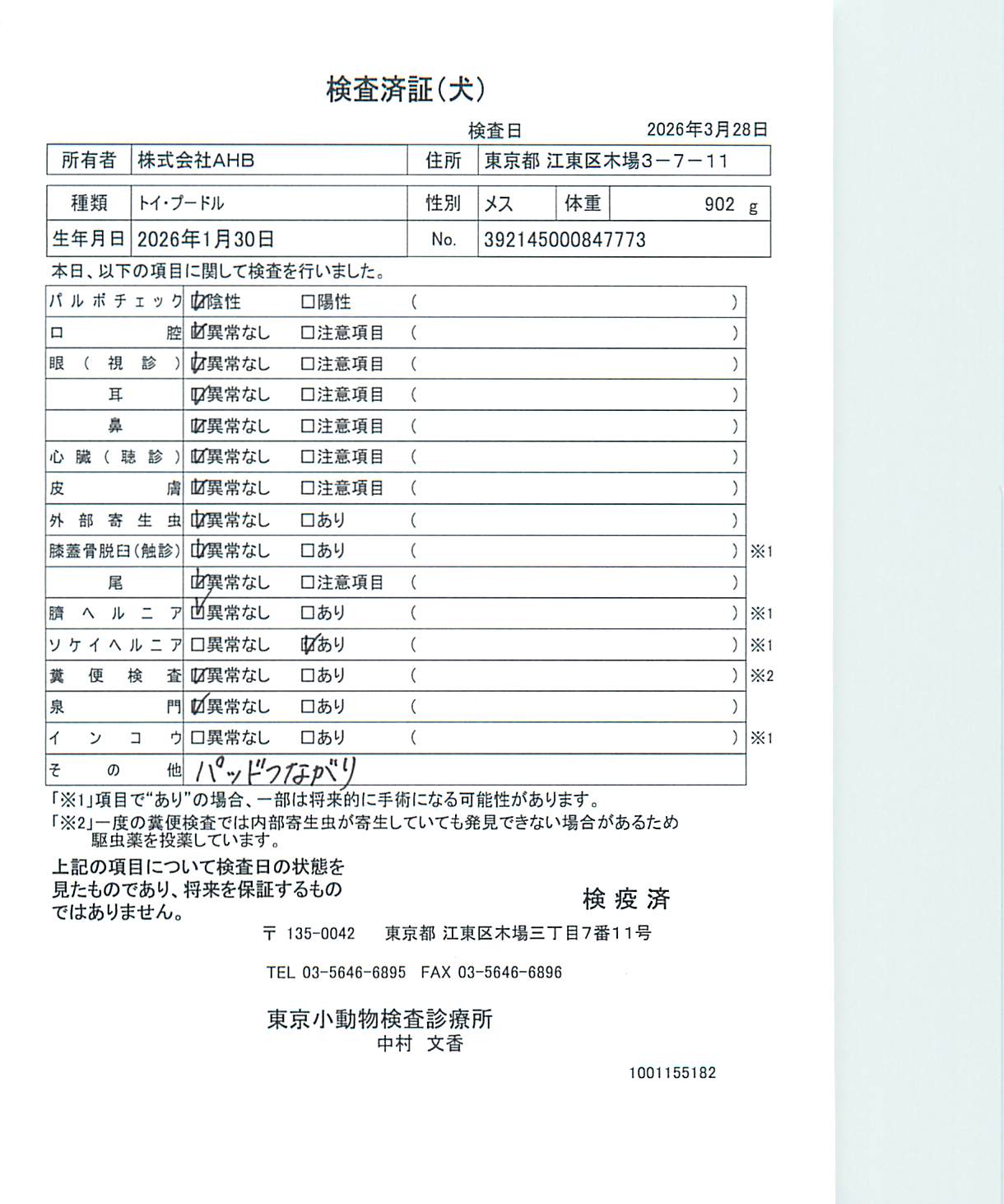 トイ・プードル