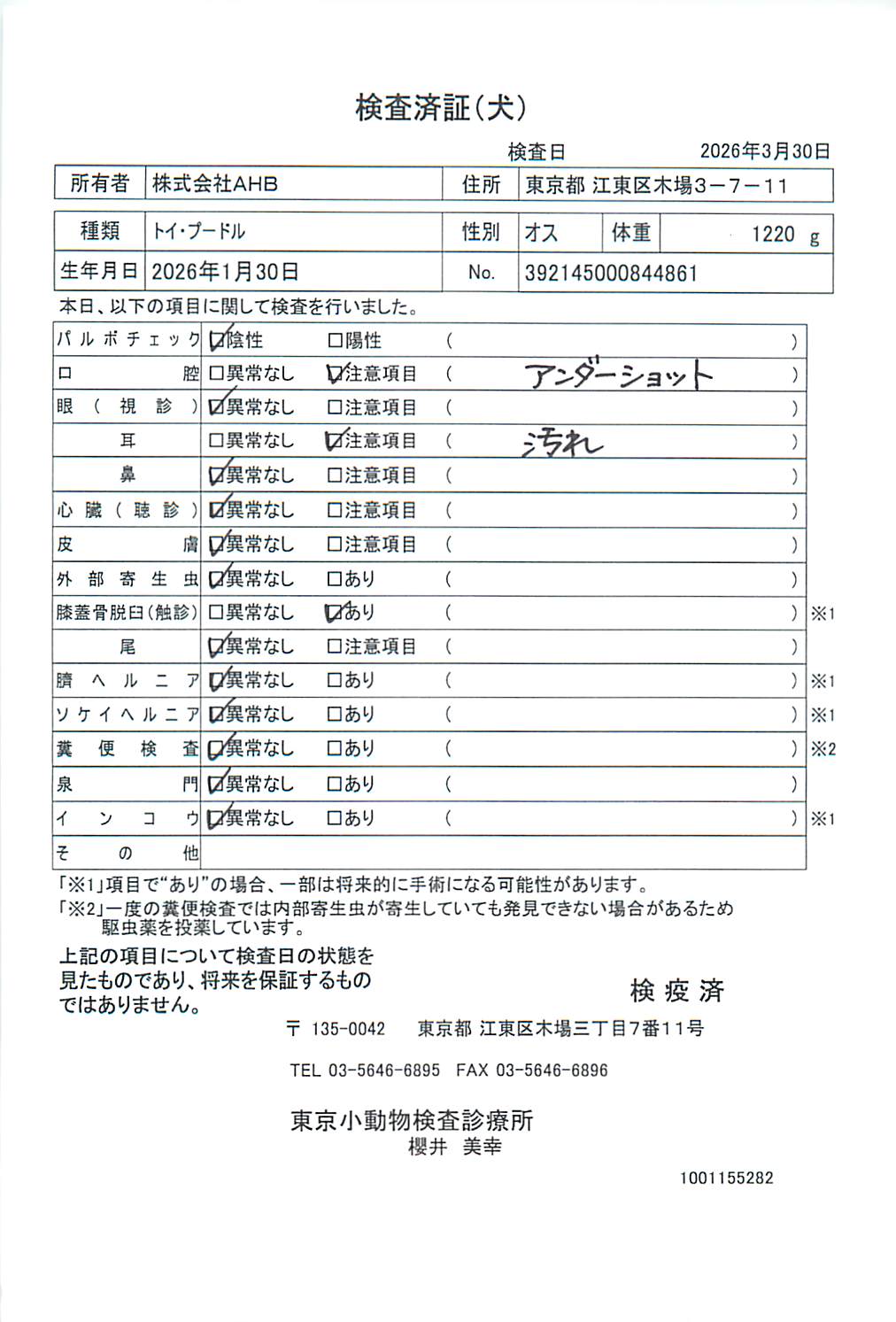 トイ・プードル