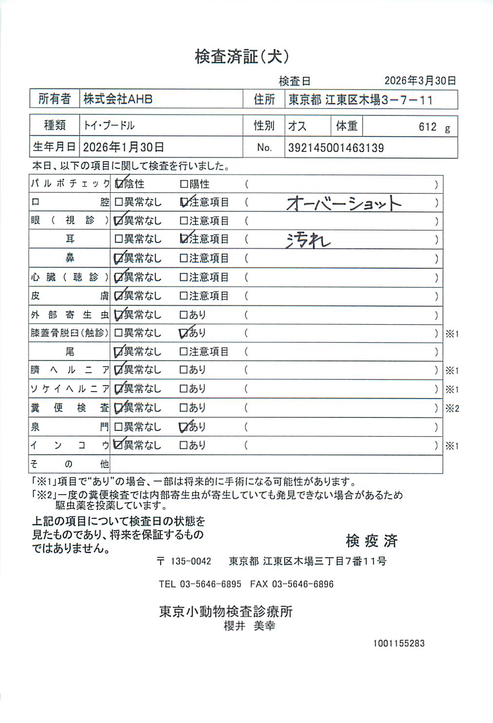 トイ・プードル