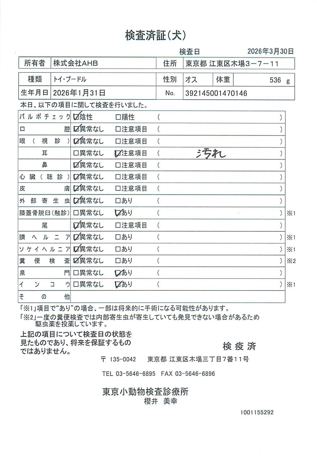 トイ・プードル