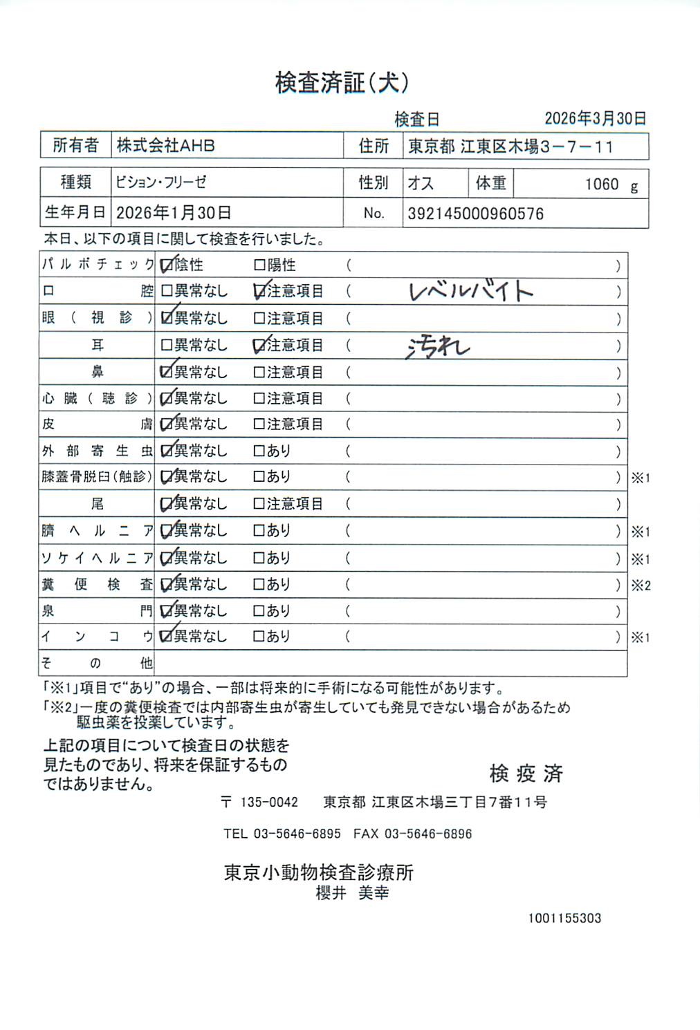 ビション・フリーゼ