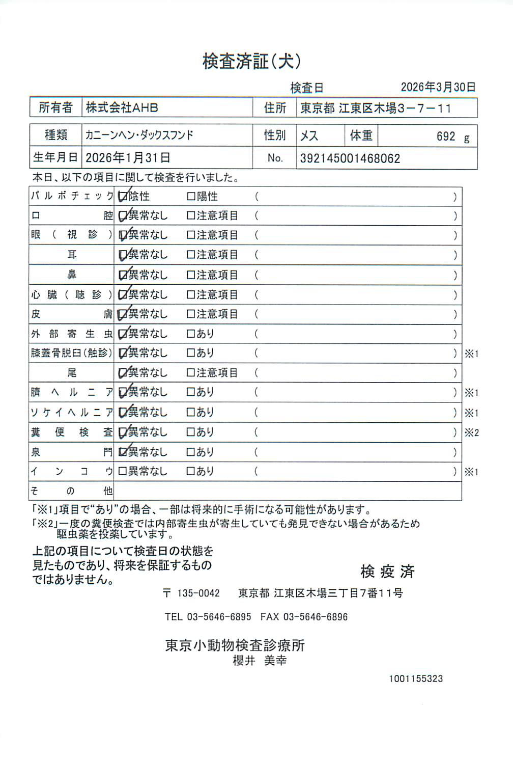 カニーンヘン・ダックスフンド