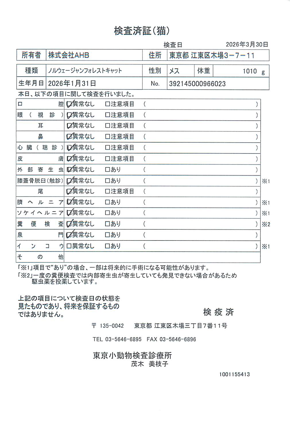 ノルウェージャンフォレストキャット