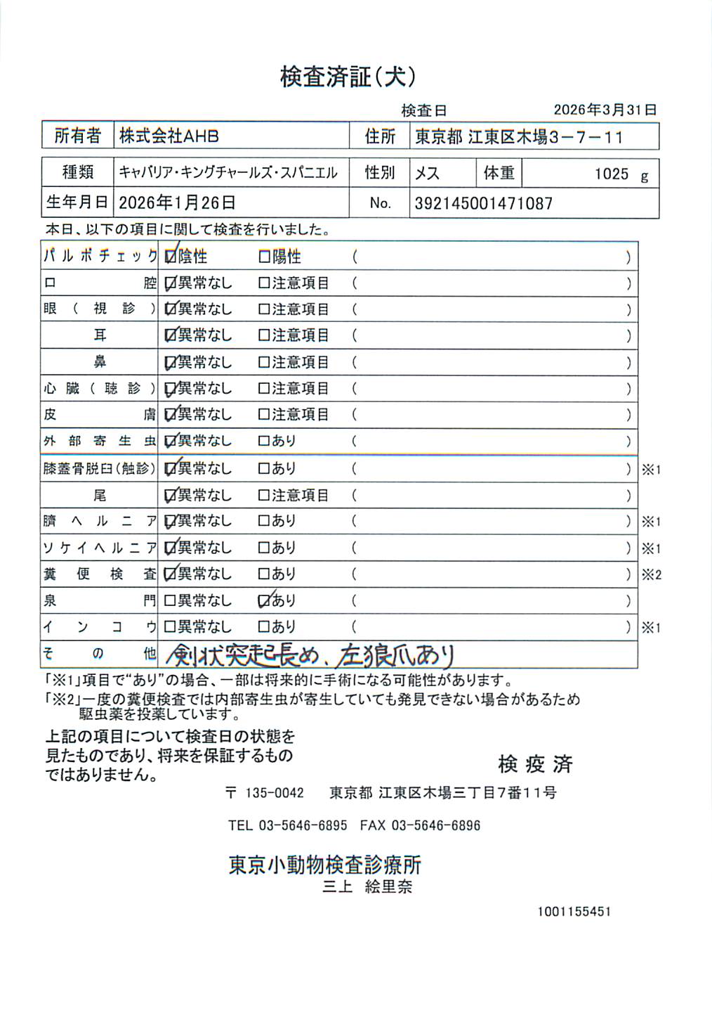 キャバリア・キングチャールズ・スパニエル