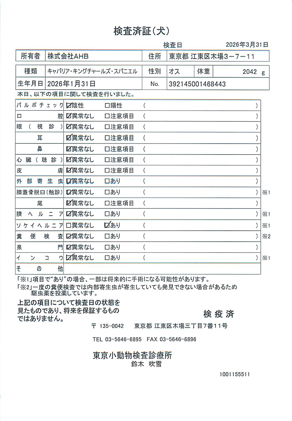 キャバリア・キングチャールズ・スパニエル