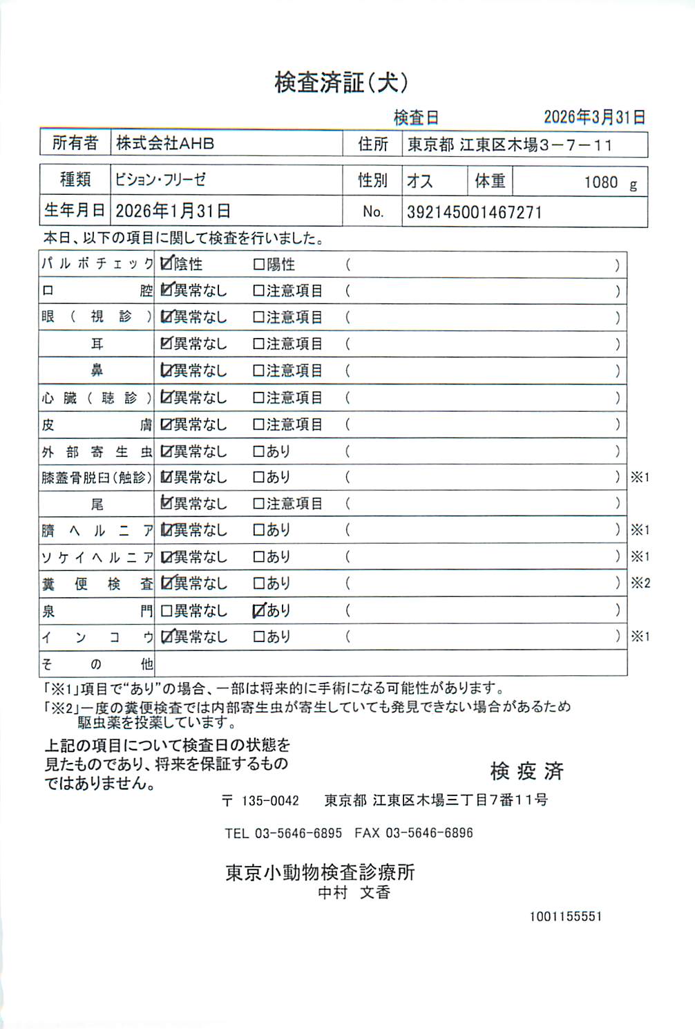 ビション・フリーゼ