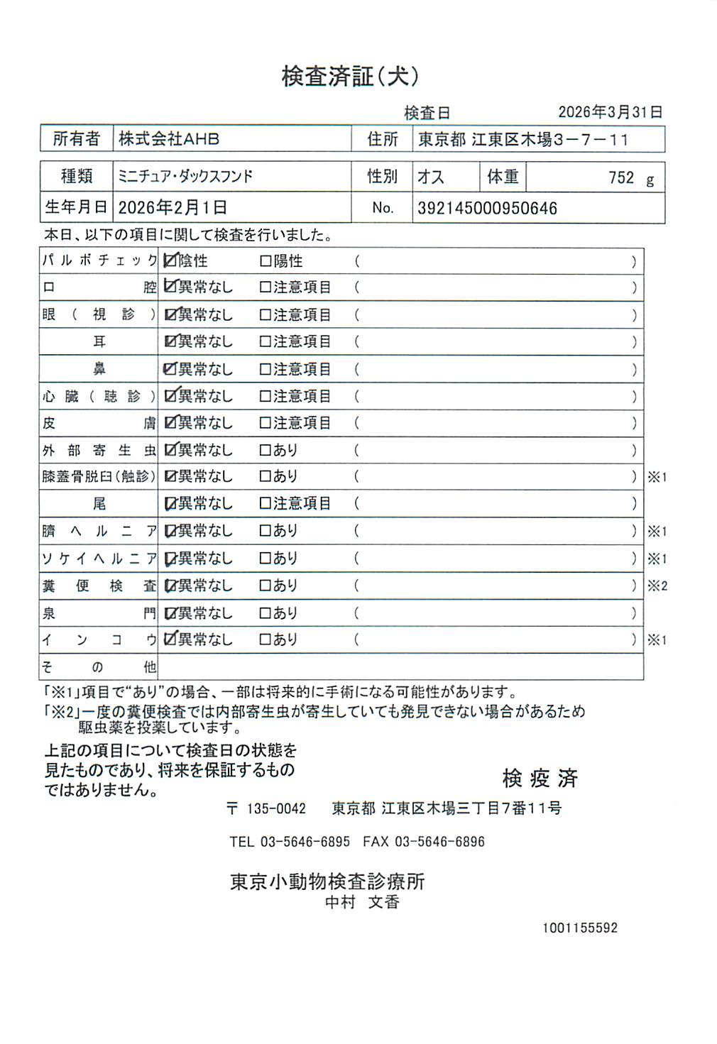 ミニチュア・ダックスフンド