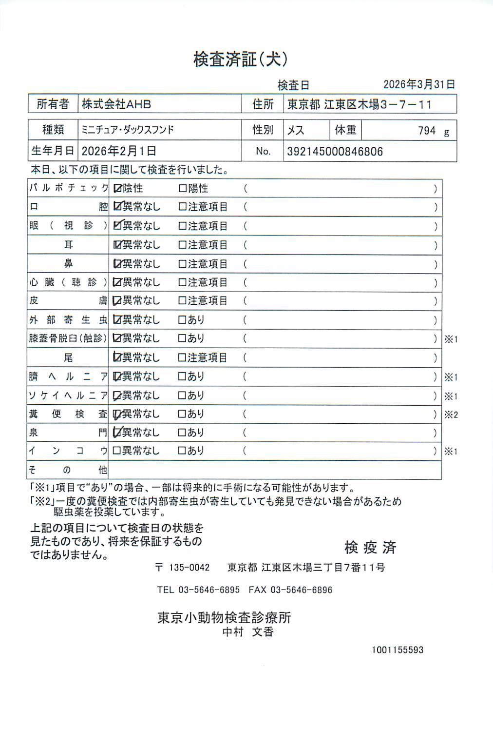 ミニチュア・ダックスフンド