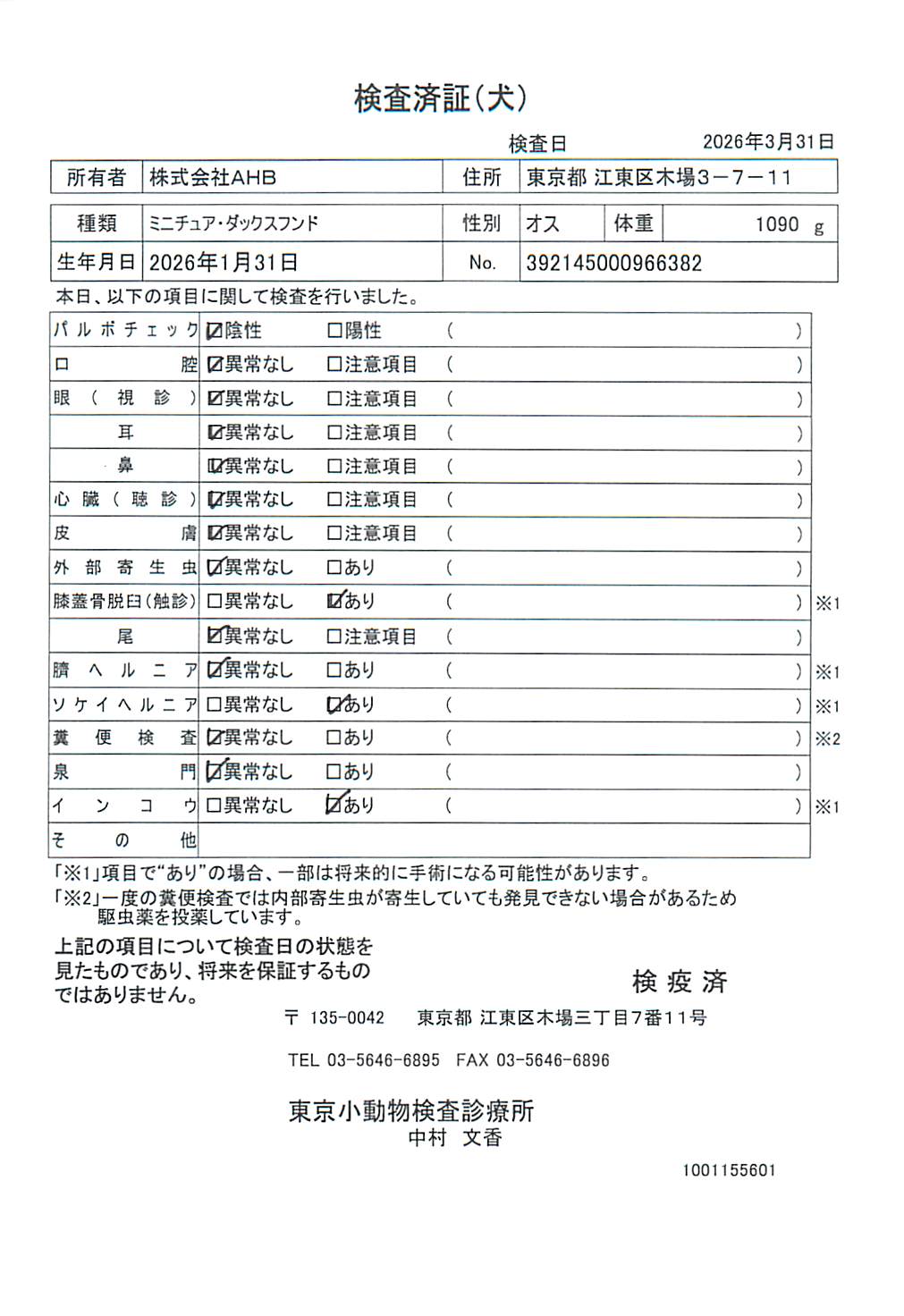 ミニチュア・ダックスフンド